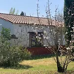 El Pueblo De Leo