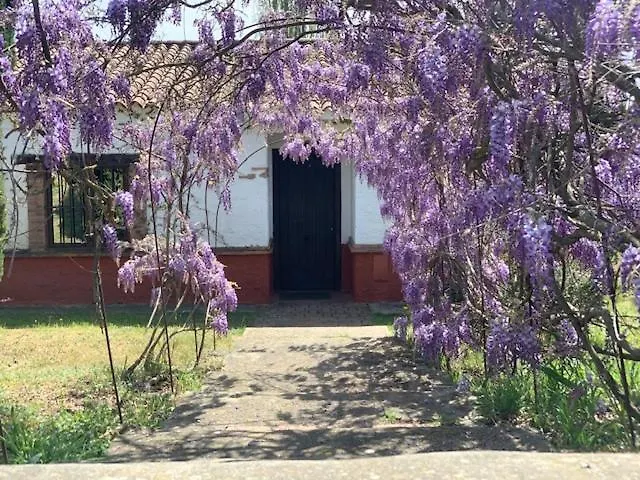 El Pueblo De Leo Resort 5*